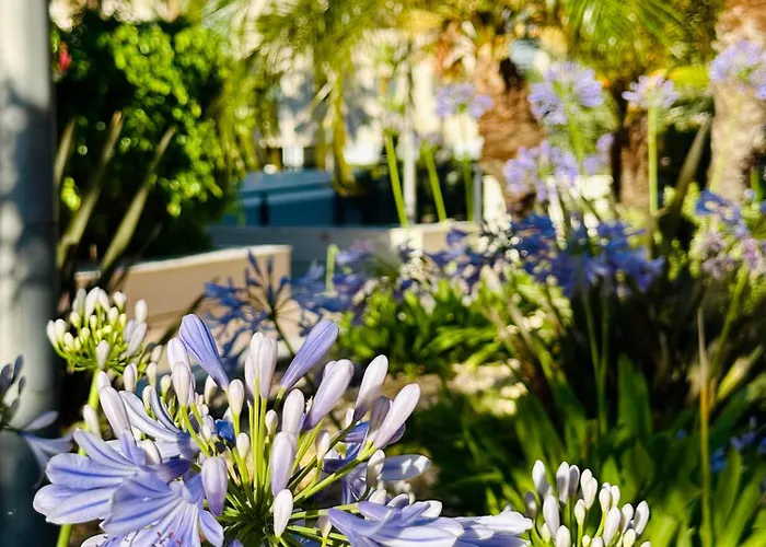 Jardines De 24 Appartement Dénia