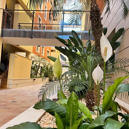 Jardines De 24 Dénia