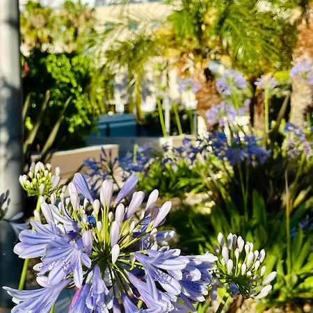 Jardines De 24 Apartment Dénia