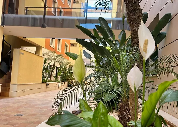 Jardines De 24 Dénia